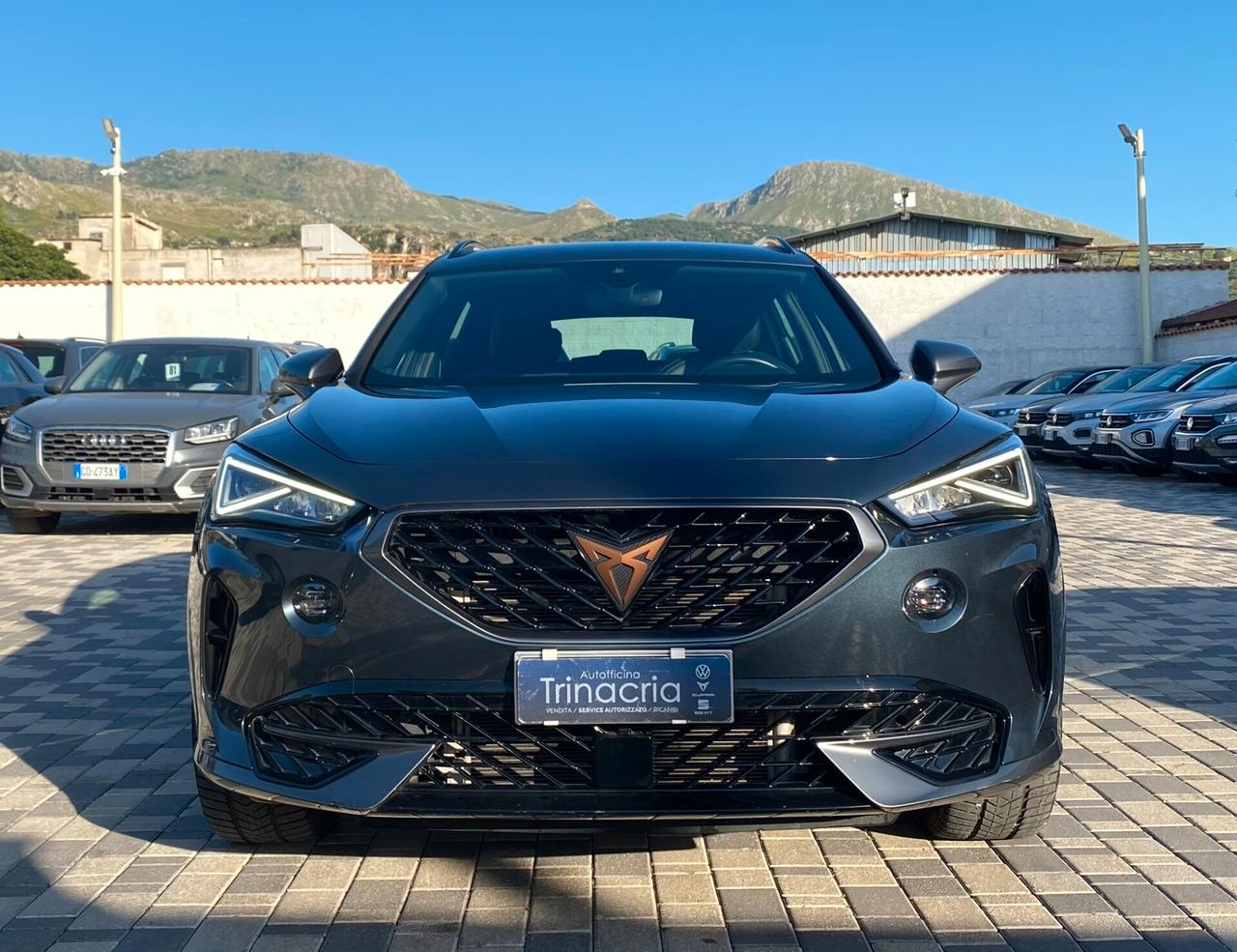Cupra Formentor 2.0 TDI 150CV DSG 4drive