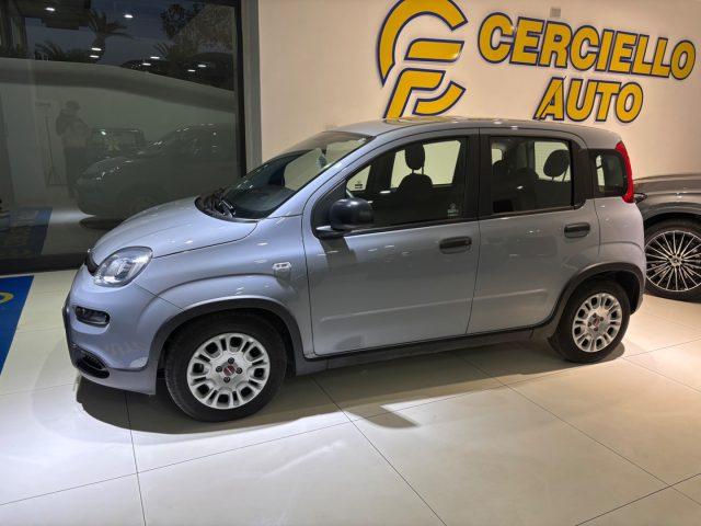 FIAT Panda 1.0 FireFly S&S Hybrid City Lifetua da ?139,00 men