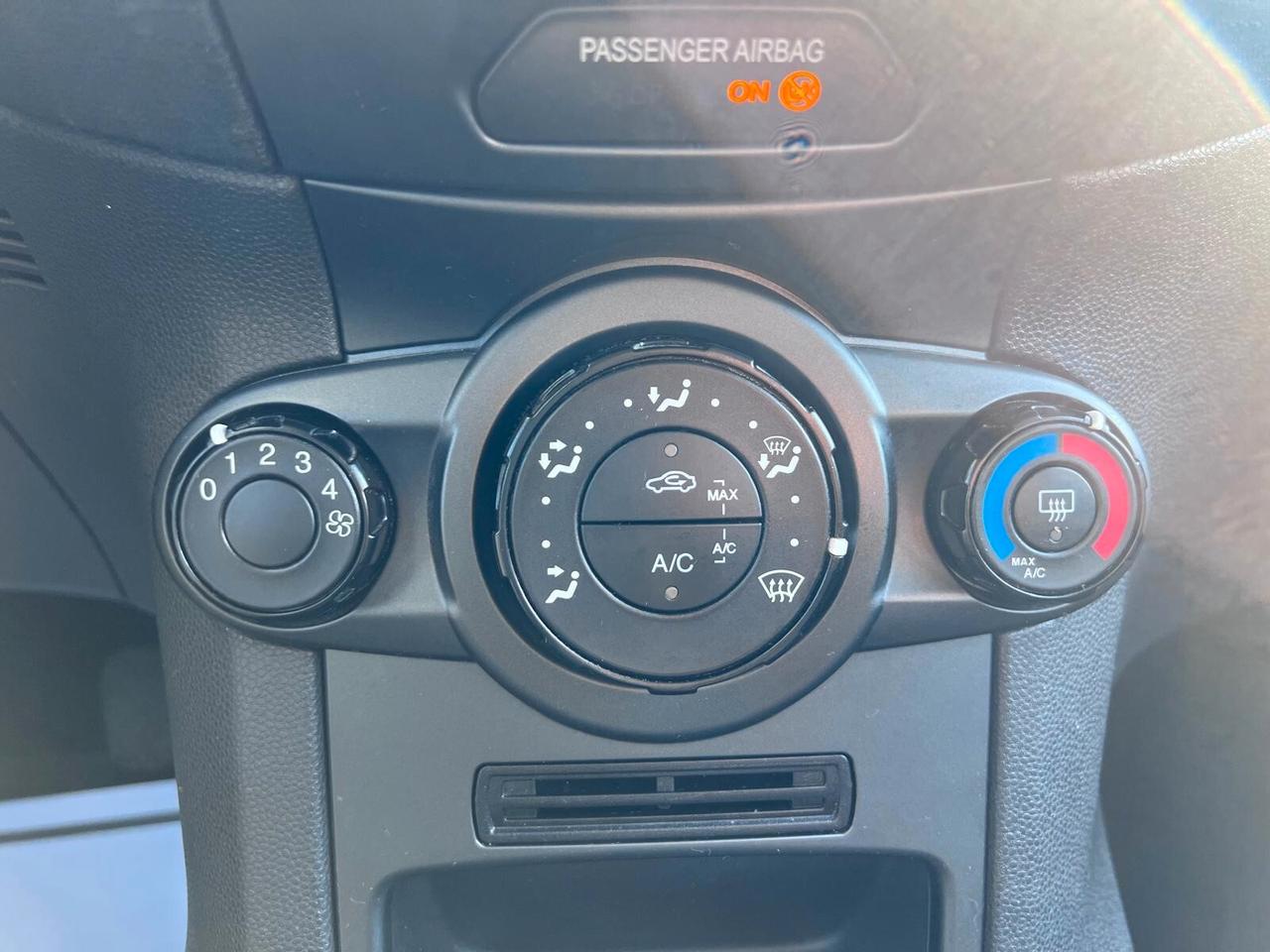 Ford Fiesta 1.5 TDCi 75CV 5 porte Black & White Edition