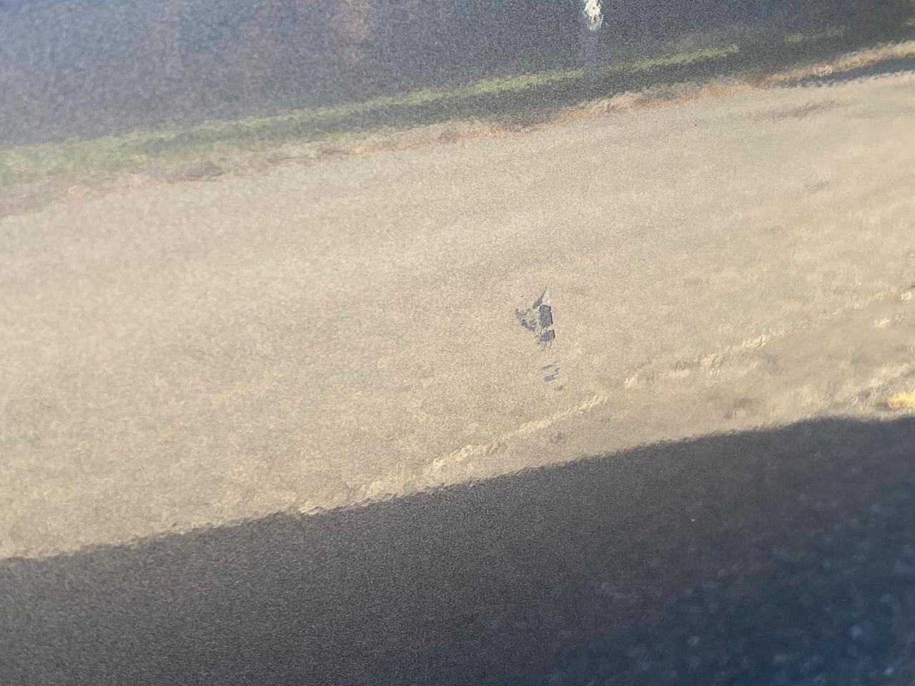 Nissan Qashqai Tekna Plus 1.6 dCi #7459