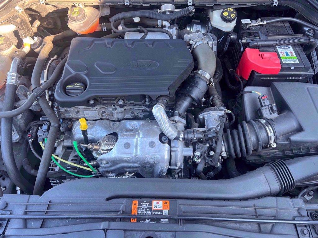 FORD Focus SW 1.5 ecoblue Titanium 120cv auto del 2020