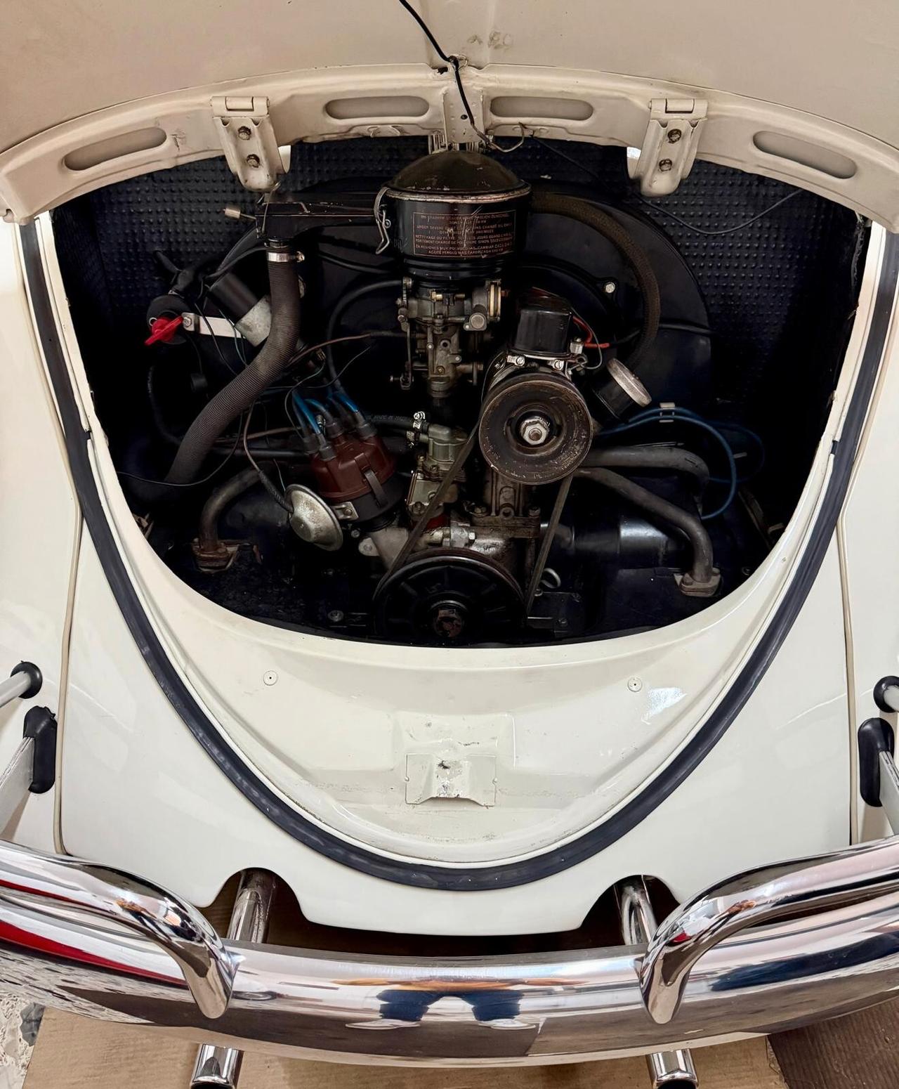Volkswagen Maggiolino 6 VOLT