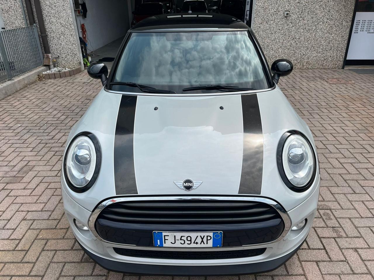 Mini 1.5 One D Hype