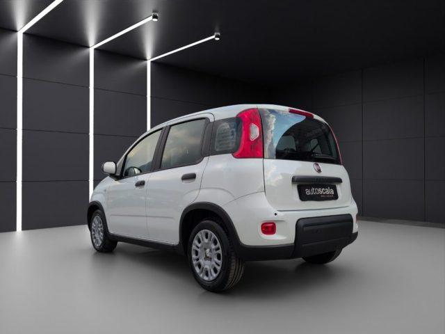 FIAT Panda 1.0 FireFly S&S Hybrid Pandina