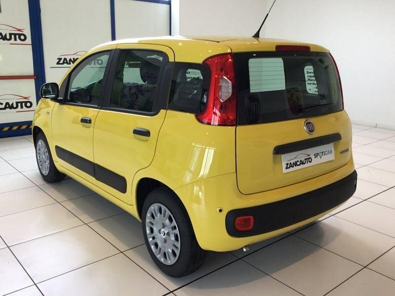 FIAT Panda Panda 1.0 FireFly S&S Hybrid Pop 65cv