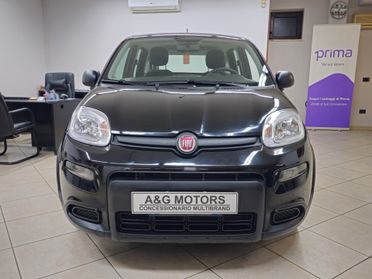 FIAT PANDA 1.0 FIREFLY 70cv S&S HYBRID LIFE