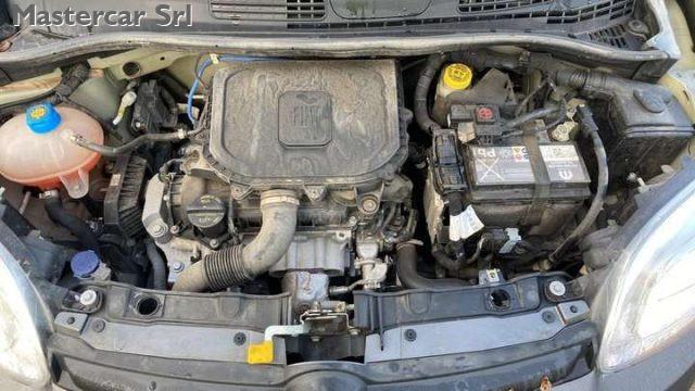 FIAT Panda Panda III 2021 1.0 firefly hybrid tg : GP621BA