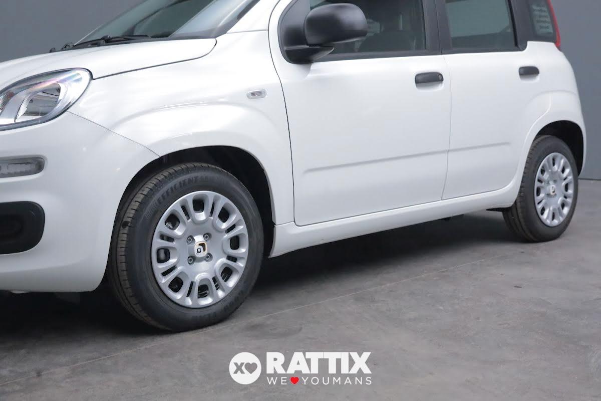 Fiat Panda 1.0 firefly hybrid 70CV Icon