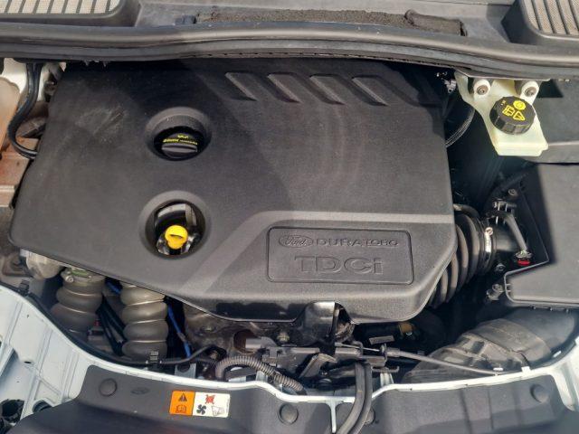 FORD C-Max 1.6 TDCi 115CV Plus