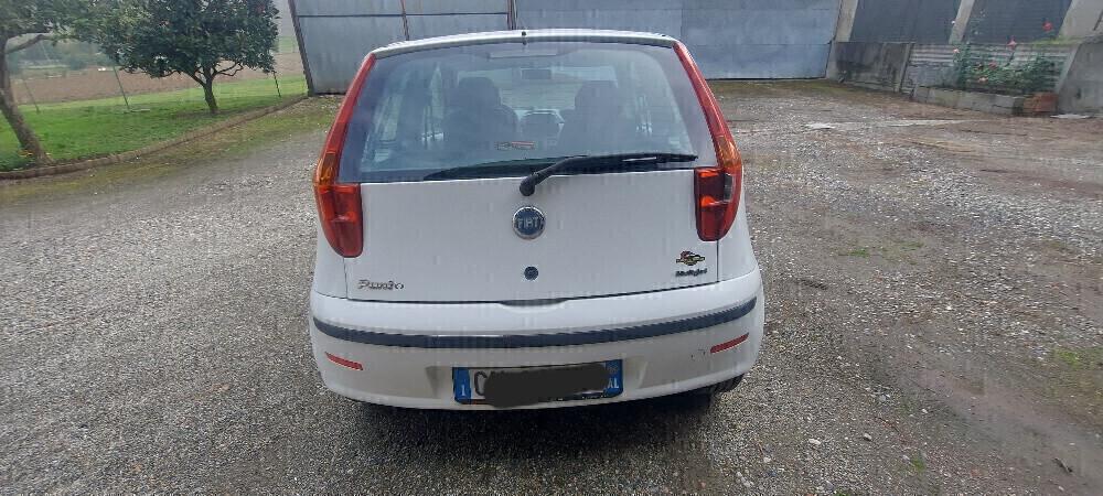 Fiat Punto 1.3 Multijet 16V 3 porte Dynamic