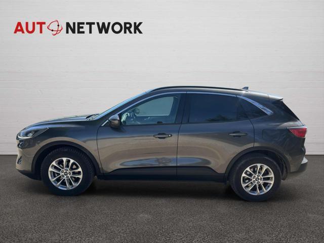 FORD Kuga 1.5 EcoBlue 120 CV 2WD Titanium Business Auto