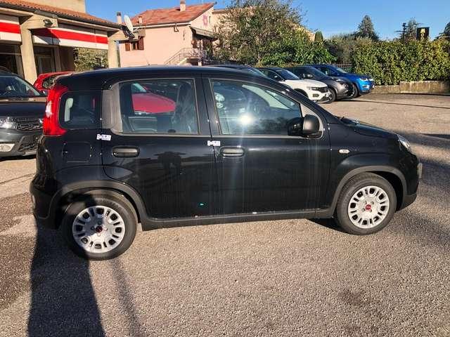 Fiat Panda panda serie 6