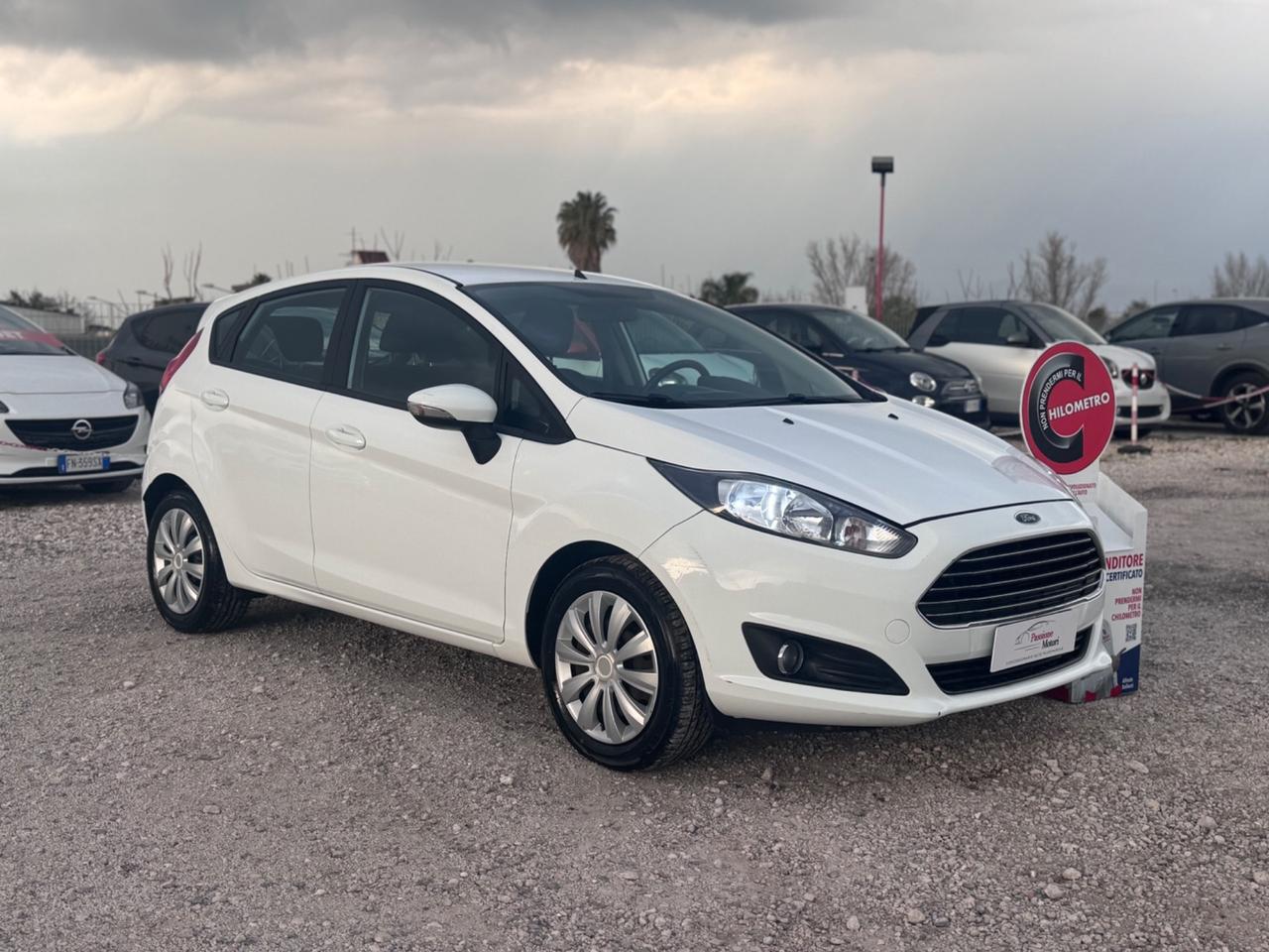 Ford Fiesta 1.5 TDCi 75CV 5 porte Titanium