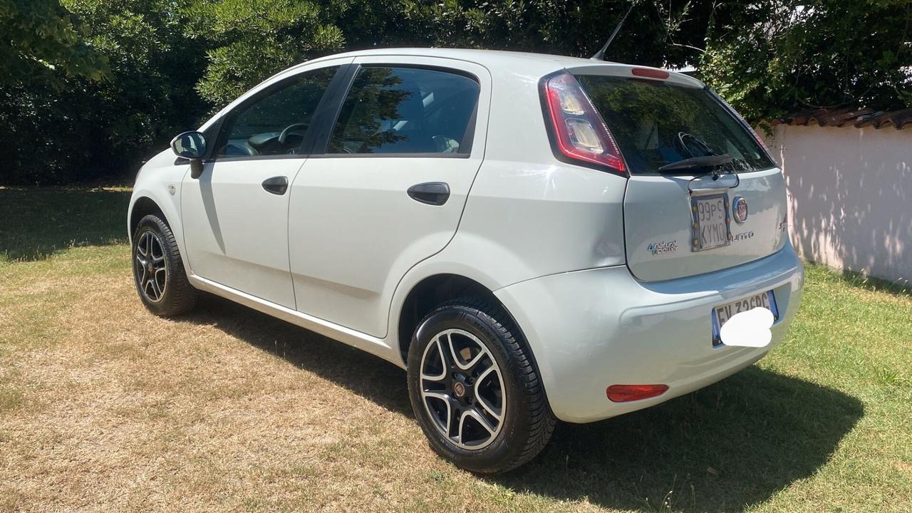 Fiat Punto 1.4 8V 5 porte Natural Power Street