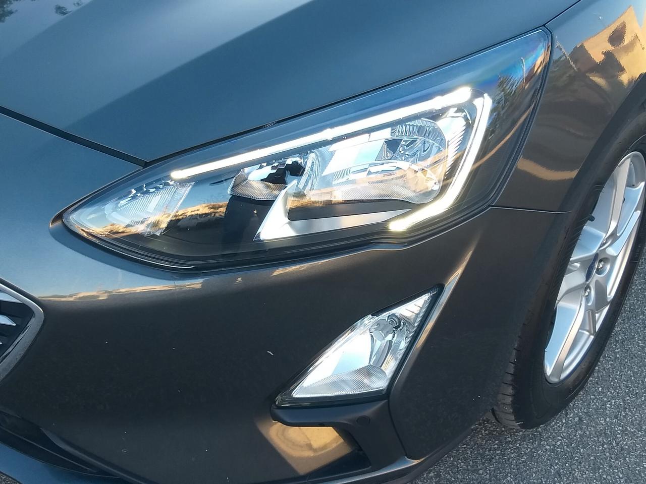 Ford Focus 1.5 EcoBlue 120 CV 5p. Business