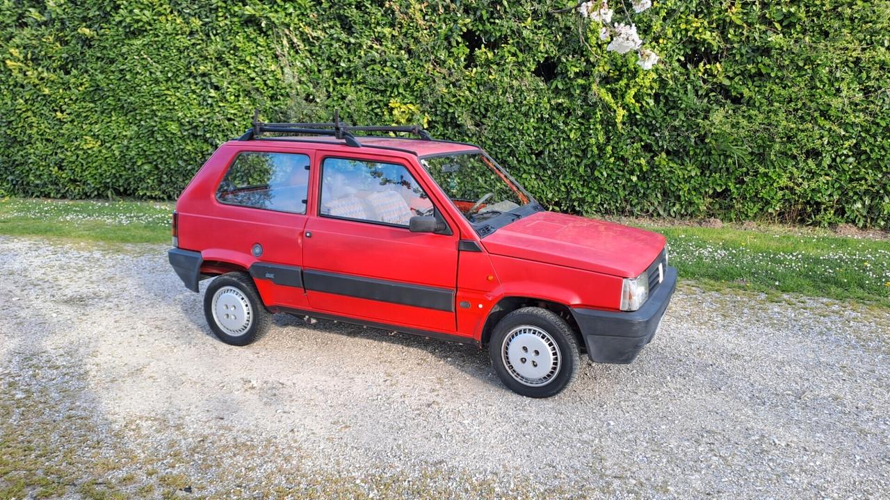 Fiat Panda 1100 i.e. cat Selecta