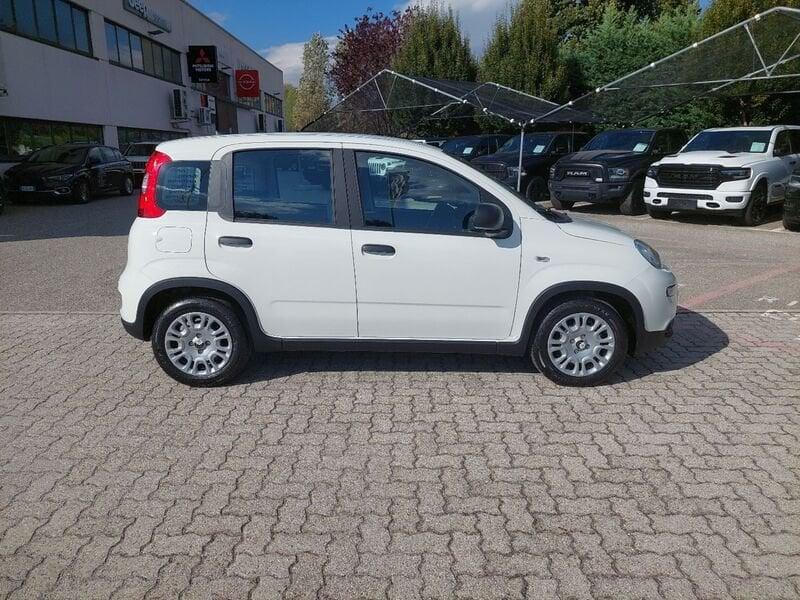 FIAT Panda 1.0 FireFly S&S Hybrid Pandina