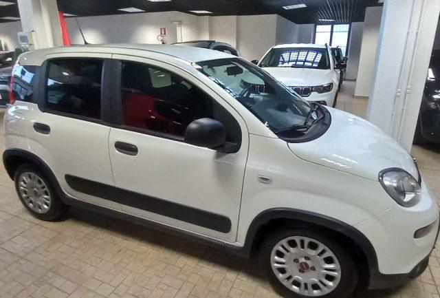 FIAT Panda 1.0 GSE S&S Hybrid Street Van 4 posti