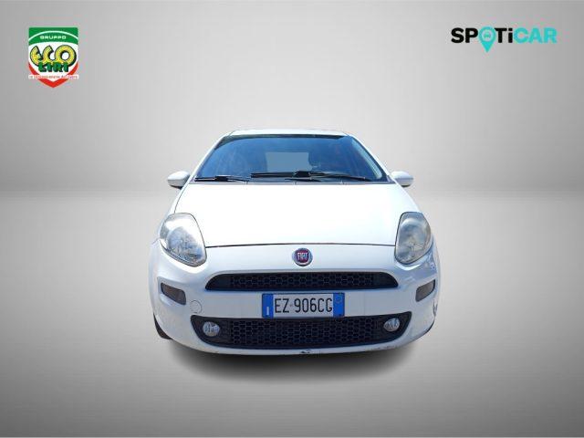 FIAT Punto 1.3 MJT II 75 CV 5 porte Street