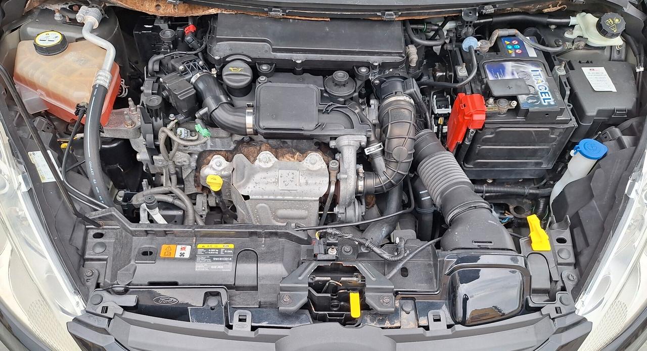 Ford Fiesta 1.4 TDCi 68CV Titanium NEOPATENTATO