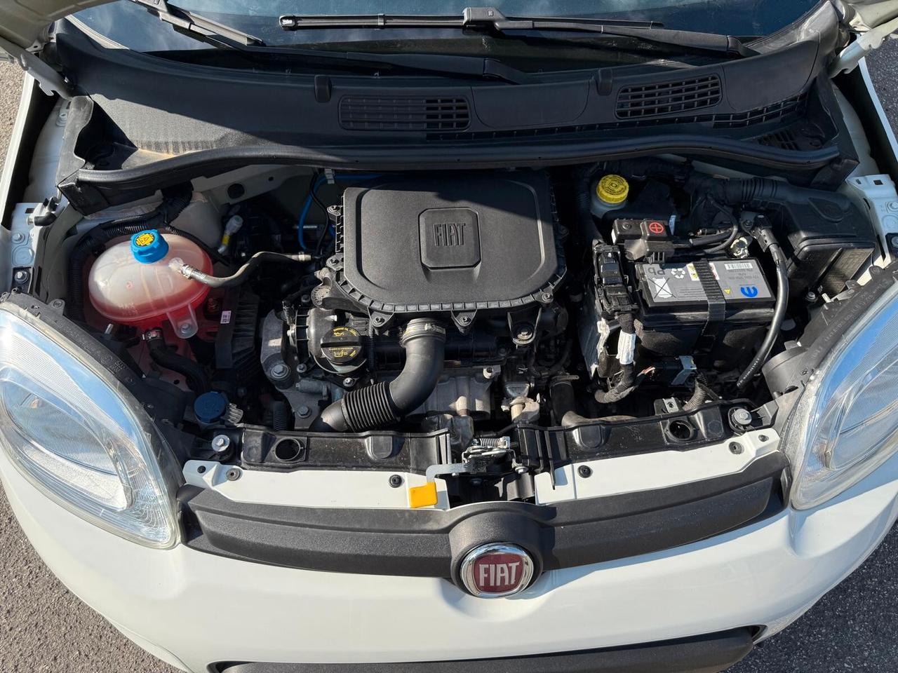 Fiat Panda 1.0 FireFly S&S Hybrid City Life 5 posti