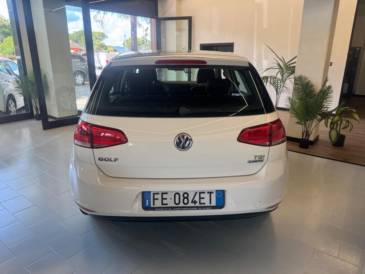 Volkswagen Golf 1.4 TGI 5p. Trendline BlueMotion