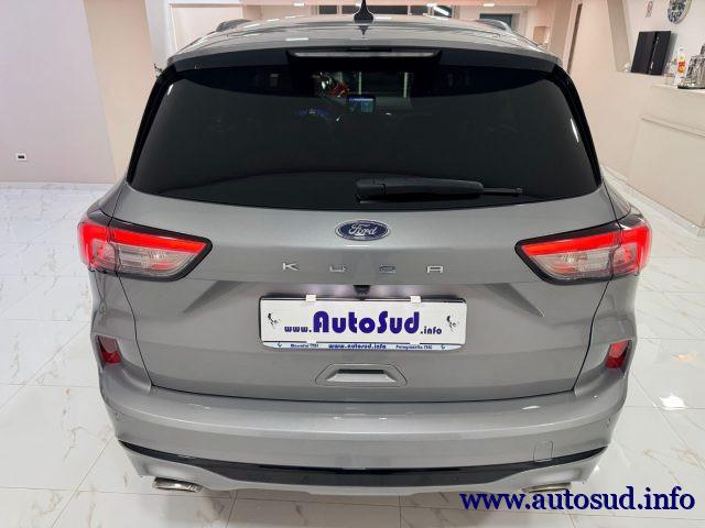 FORD Kuga 1.5 EcoBoost 150 CV S&S 2WD ST-Line Business