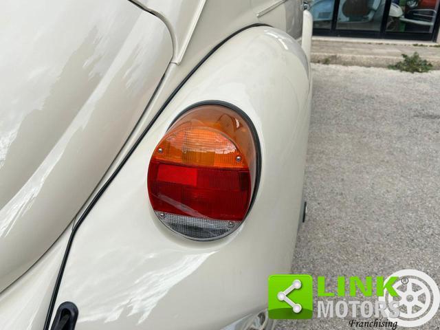 VOLKSWAGEN Maggiolino 11/D11