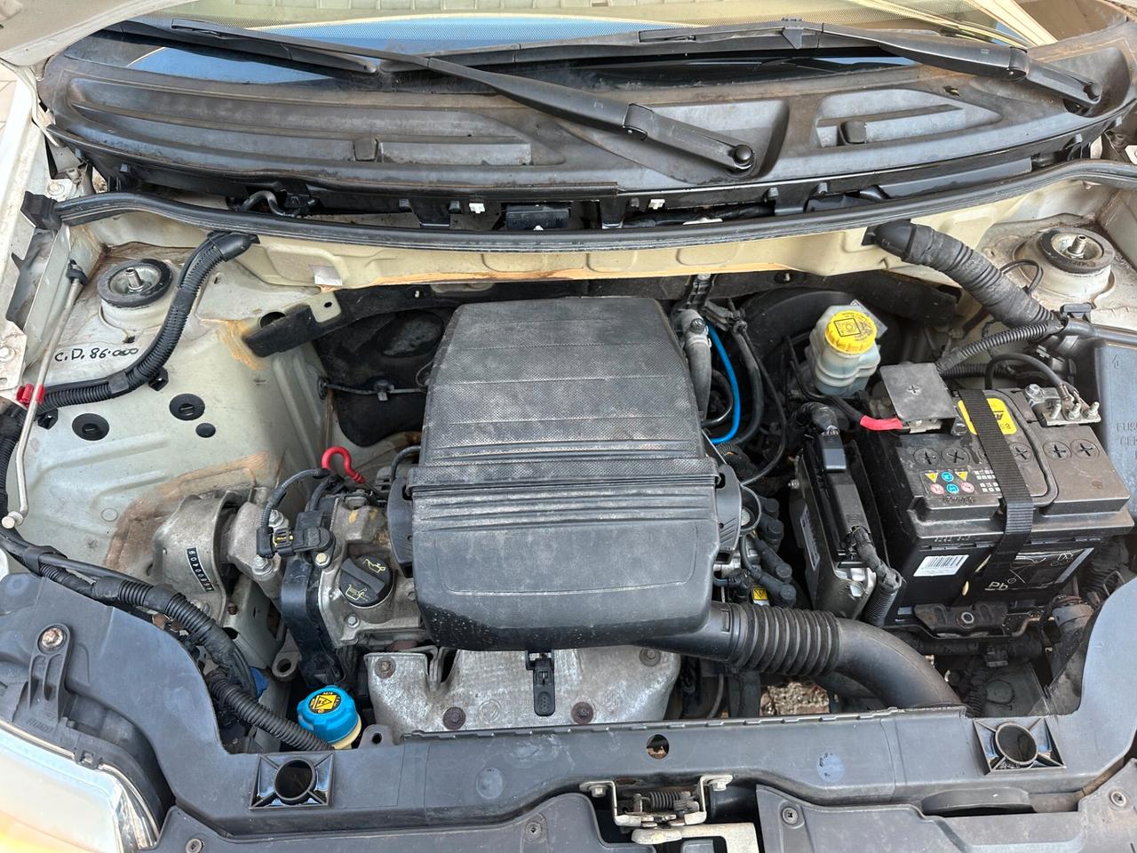 Fiat Panda 1.1 Neopatentati (12 Rate)