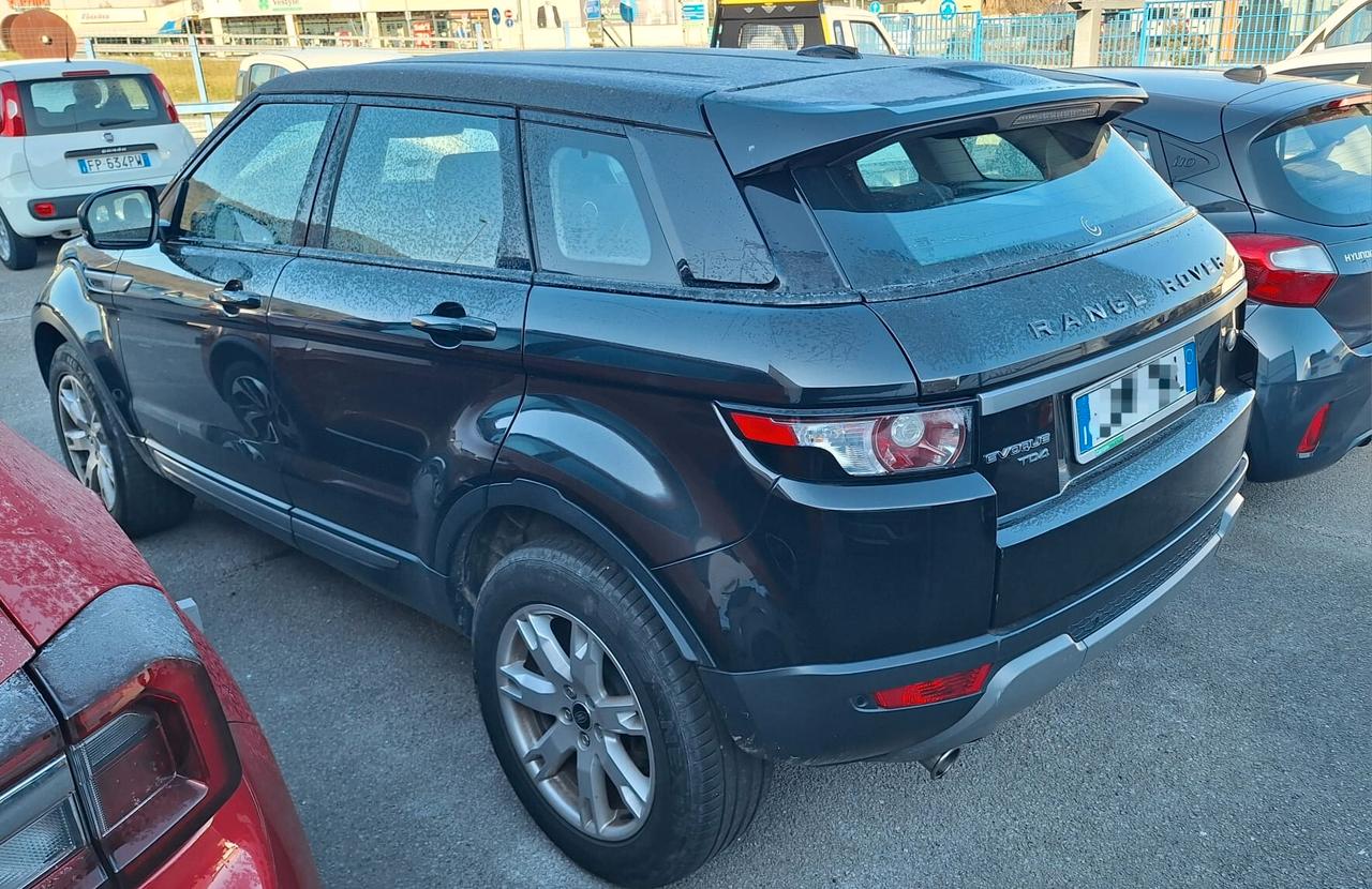 Land Rover Range Evoque 2.2 TD4 5p. Prestige
