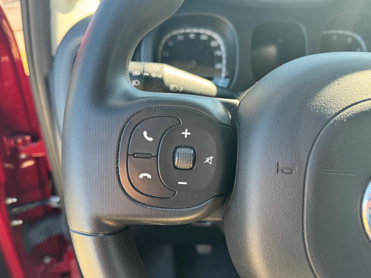 Fiat Panda Cross 1.0 FireFly S&S Hybrid