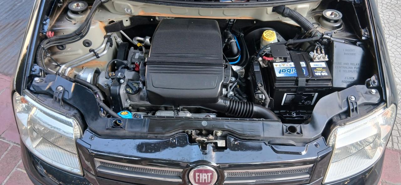 FIAT PANDA 1.2 DYNAMIC PARI AL NUOVO