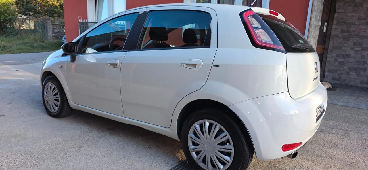 Fiat Punto 1.4 8V 5 porte Easypower Lounge gpl nuovo