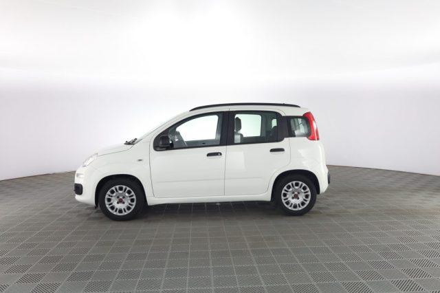 FIAT Panda Panda 1.2 EasyPower Easy