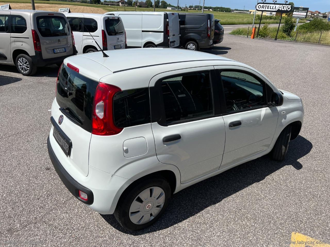 FIAT Panda 1.2 Easy Van 4 posti +IVA