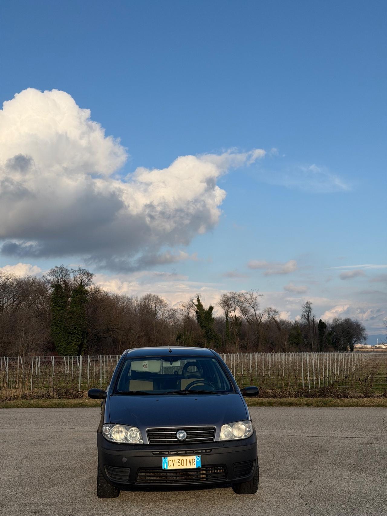 Fiat Punto 1.3 Multijet 16V 5 porte Actual