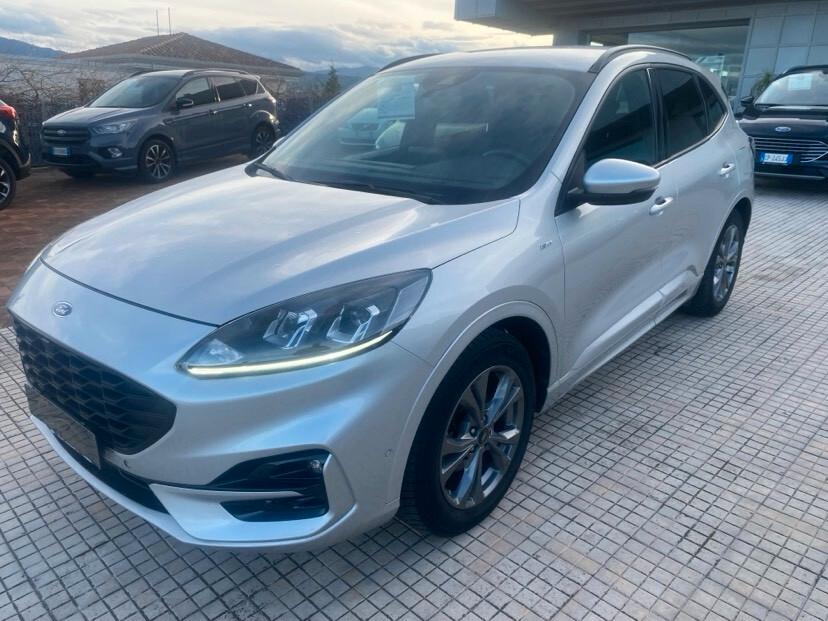 Ford Kuga 1.5 EcoBlue 120 CV 2WD ST-Line