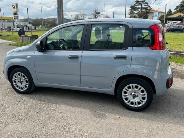 Fiat Panda 1.2 Easy iva esposta