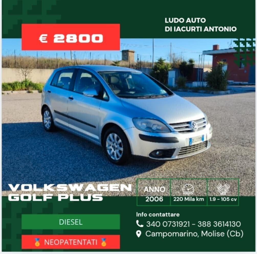 Volkswagen Golf Plus 1.9 TDI/101 CV cat Var. Comfortline