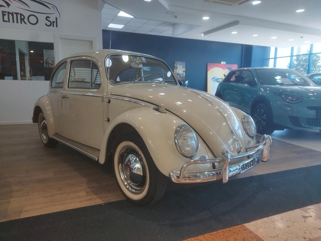 Volkswagen Maggiolino 6 volt vetro piatto ASI + CRS