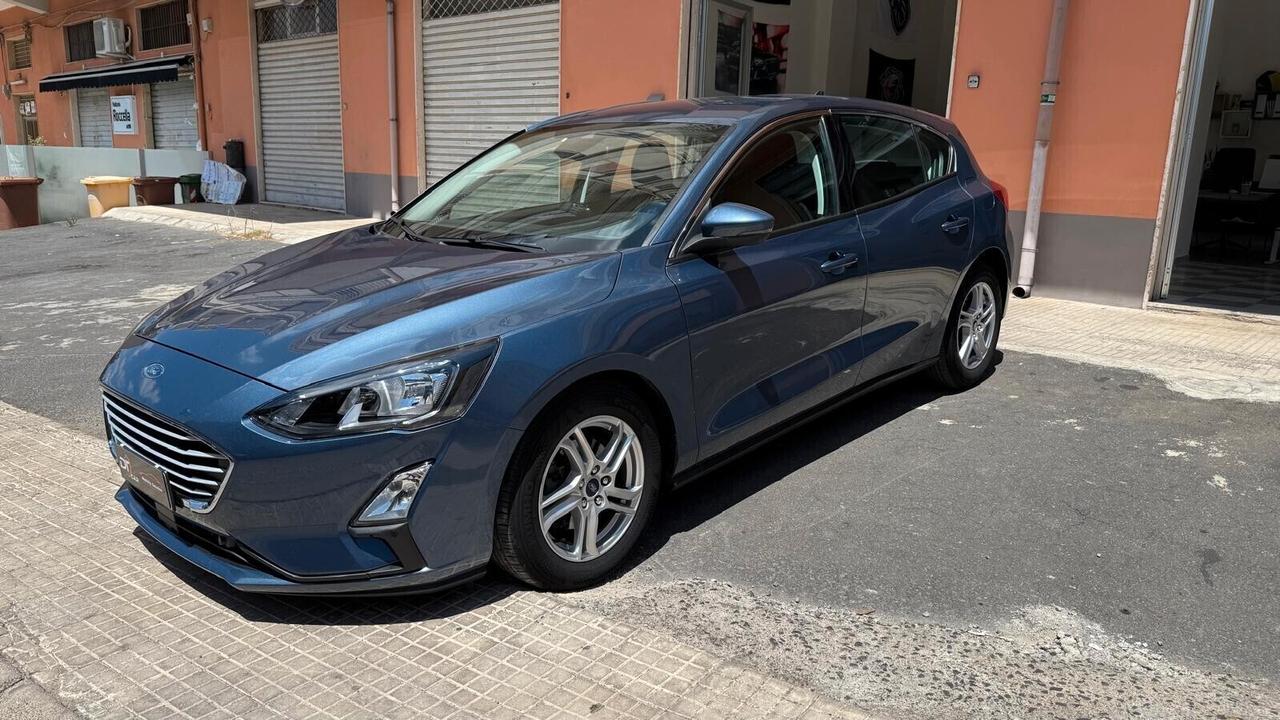 Ford Focus 1.5 EcoBlue 95 CV 5p. Business