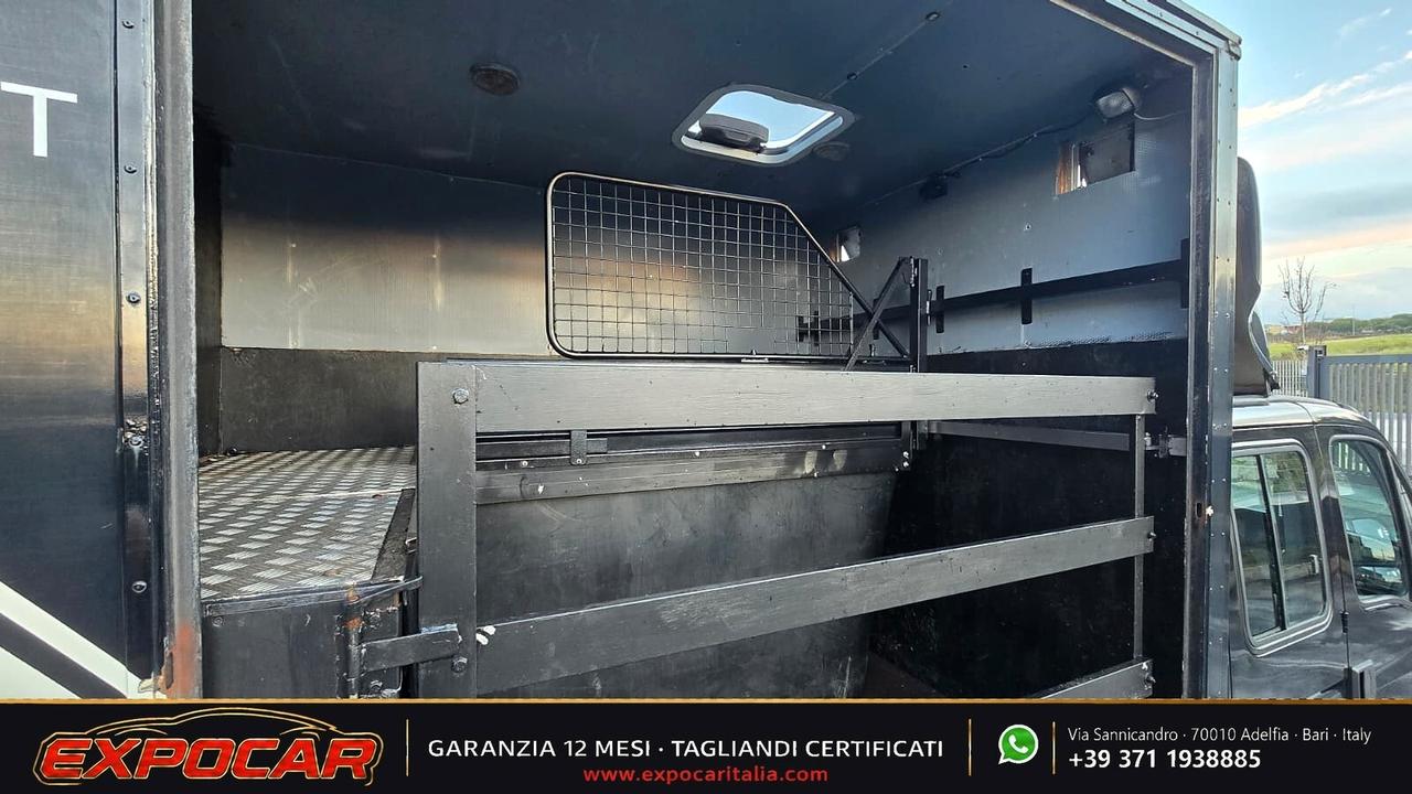 Iveco Daily - Trasporto Cavalli