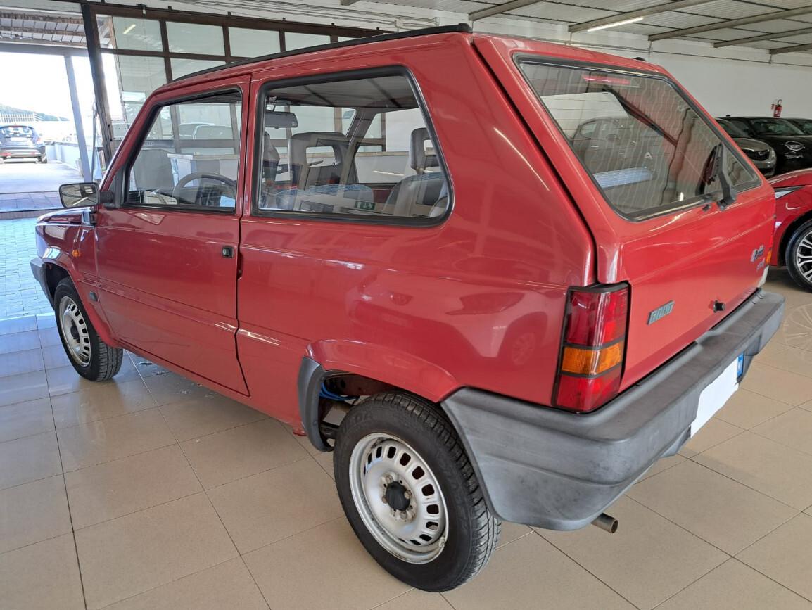 Fiat Panda 1100 i.e. cat Young