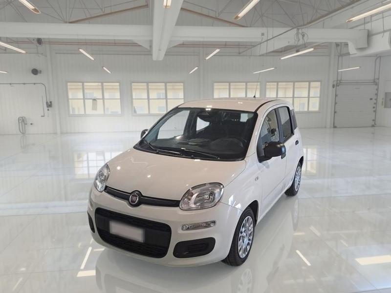 FIAT PANDINA 1.0 FIREFLY 65 CV SES 6M HYBRID ICON 5 PORTE BERLINA