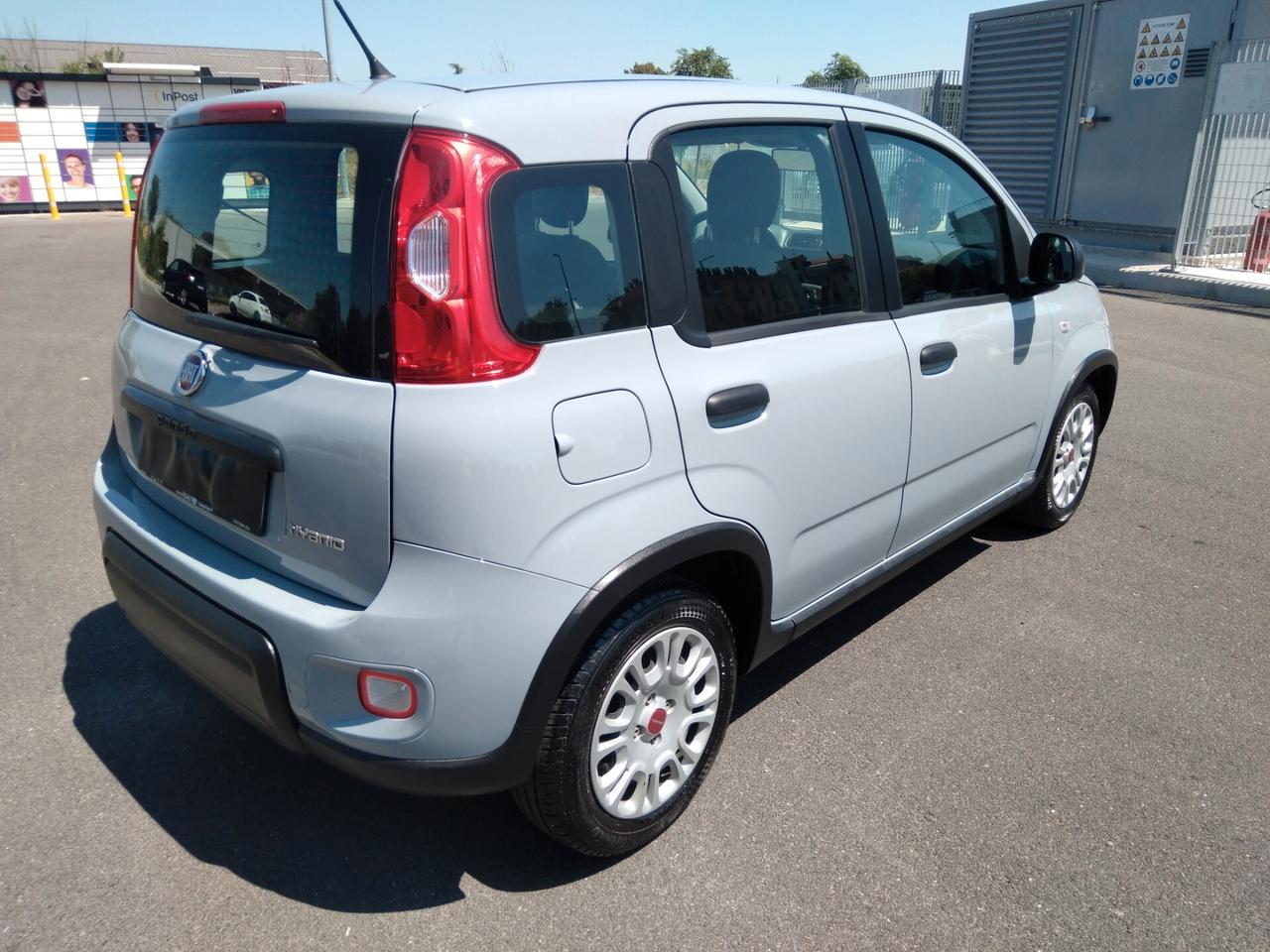 Fiat Panda 1.0 70cv FireFly S&S Hybrid x neopatentati