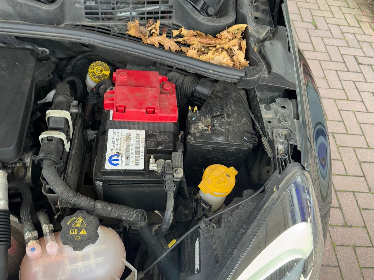 Fiat 500X City Cross 1.0 T3 #8650