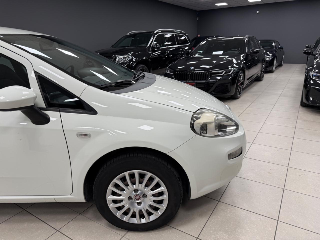 Fiat Punto 1.2 8V 5 porte Street