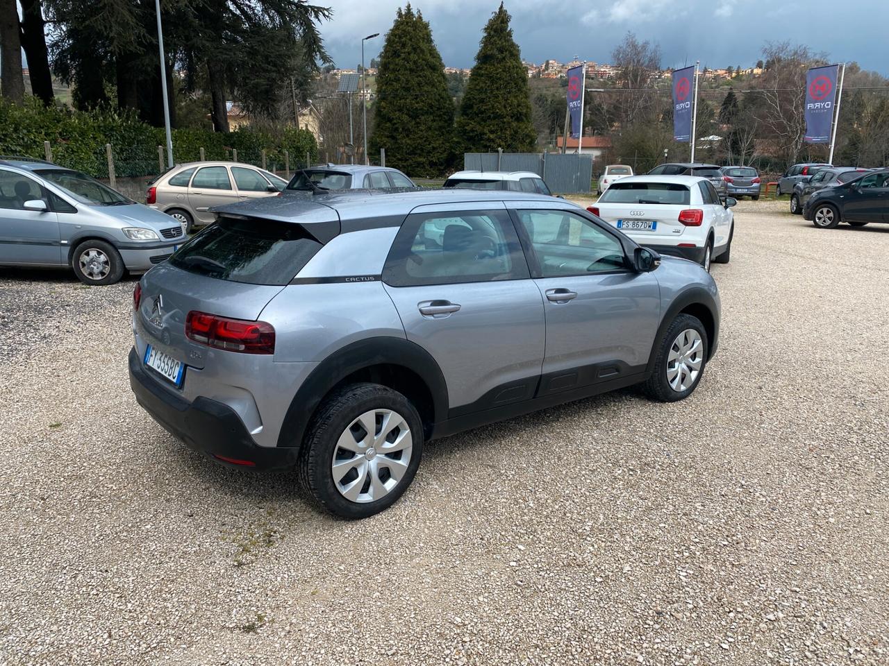 Citroen C4 Cactus BlueHDi 100 S&S Feel