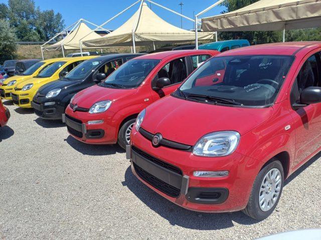 FIAT Panda 1000 HYBRID 70 CV PDC ITALIA