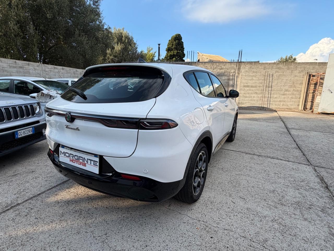Alfa Romeo Tonale 1.6diesel 130CV TCT6 Sprint 24